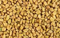 Manufacturers Exporters and Wholesale Suppliers of Fenugreek Seeds MORBI 